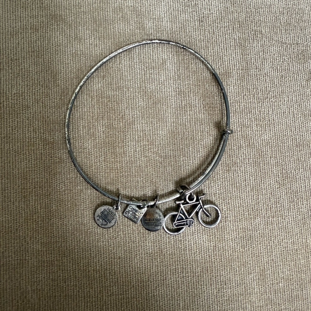 Alex and Ani Silver Charm Bracelet
